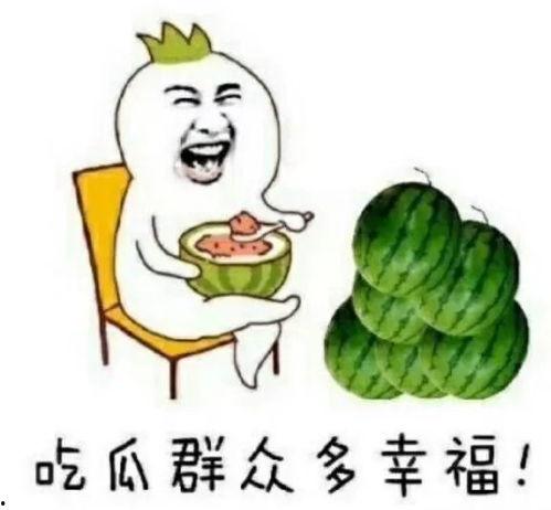 娱乐吃瓜的故事